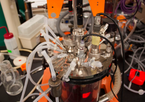 A bioreactor the basic tool used to grow synthetic ingredients. Photo: Matt Janicki