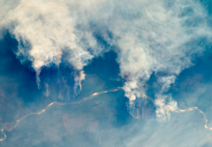 Use of sugar in Brazil could help accelerate slashing and burning in the Amazon rainforest. Photo: NASA Earth Observatory