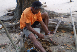 A Brazilian man breaking babaçu nuts.